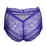 Marie Jo Cerina Special Briefs - Lily Pad Lingerie