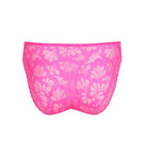 PrimaDonna Twist Mocuto Rio Brief in Pixie Blossom - Lily Pad Lingerie